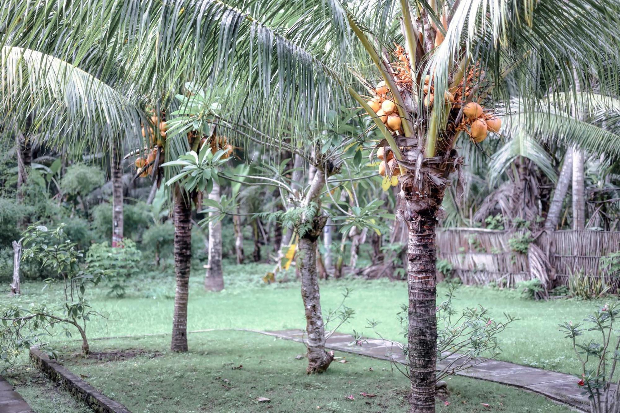 Komurd Lavender Bungalow Sakti 外观 照片